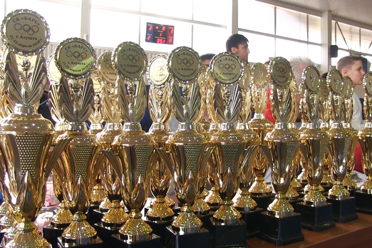 Открытый Кубок СК «Барс» по вольной борьбе среди юношей 2004-2011 гг. р.
