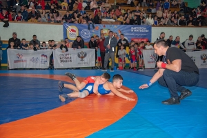 В Красногвардейском районе пройдет юношеский турнир борцов-классиков, посвященный «Крымской весне»