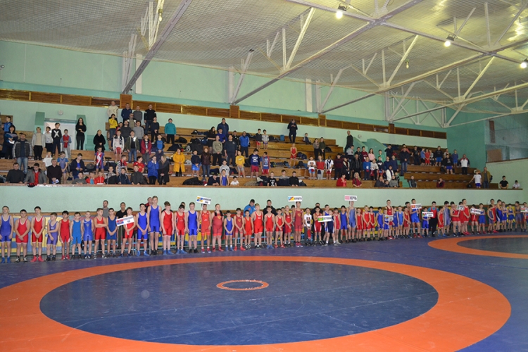 Борцовский турнир в Петровке собрал почти 140 участников