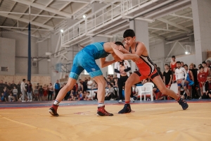 Соревнования по греко-римской борьбе в Симферополе собрали 379 участников