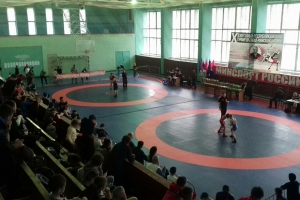 В Петровке Красногвардейского района пройдет борцовский турнир памяти Ильи Егудина
